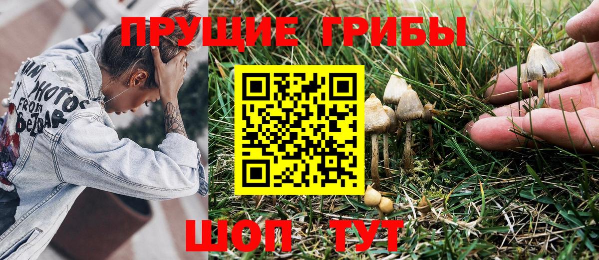 Галлюциногенные грибы мухоморы Бузулук